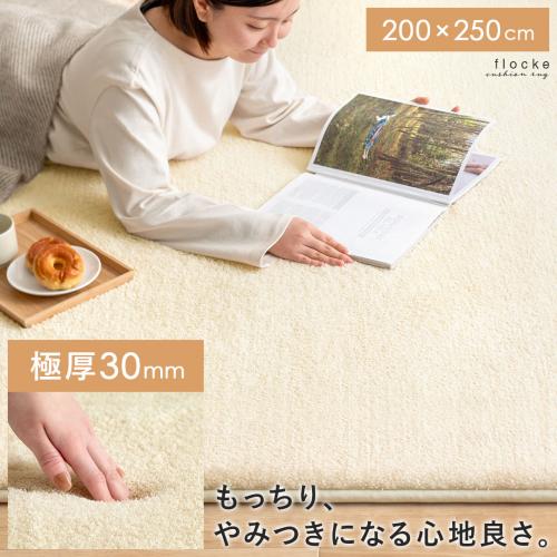 高反発ウレタンクッションラグ flocke(フロッケ)200x250cm