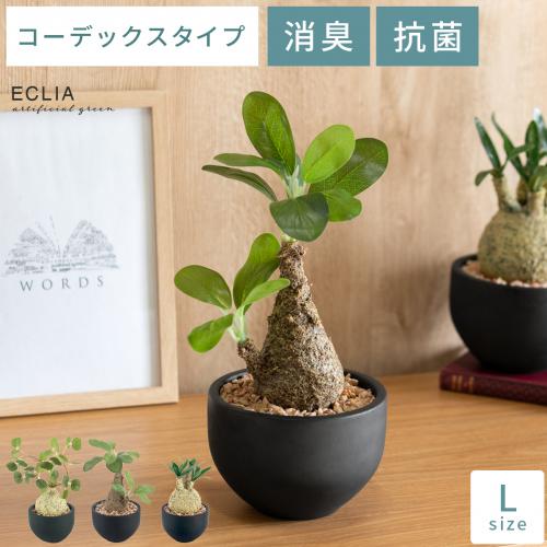 消臭アーティフィシャルグリーン 【コーデックス Lサイズ】