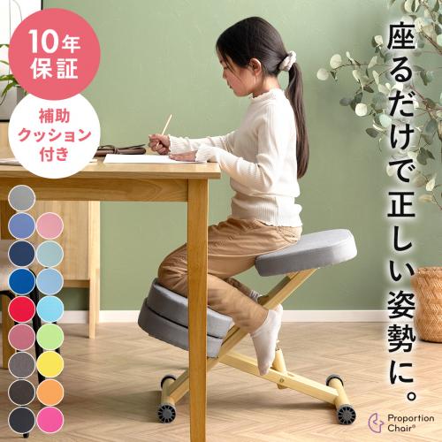 【セット】プロポーションチェア+補助クッションセット