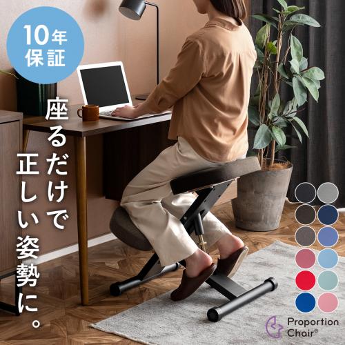 【チェア単体】プロポーションチェア(補助クッションなし)
