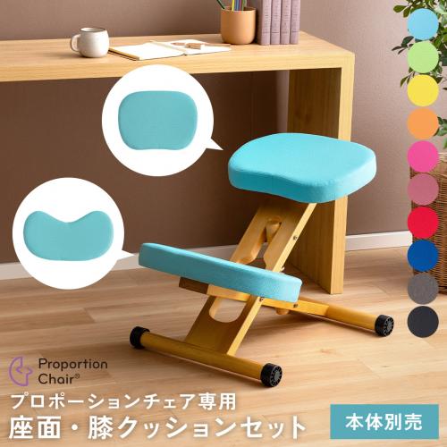 【本体別売】プロポーションチェア 替えクッション(座面クッション + 膝クッション)