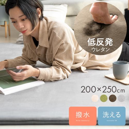 撥水加工付き低反発ウレタンクッションラグ MOCCHI(モッチ) 200×250cm